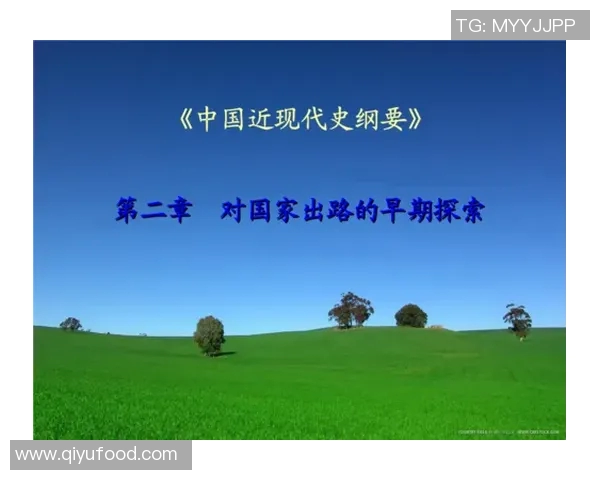 中国足球发展史的起伏与变迁：从早期探索到现代化进程的全景回顾